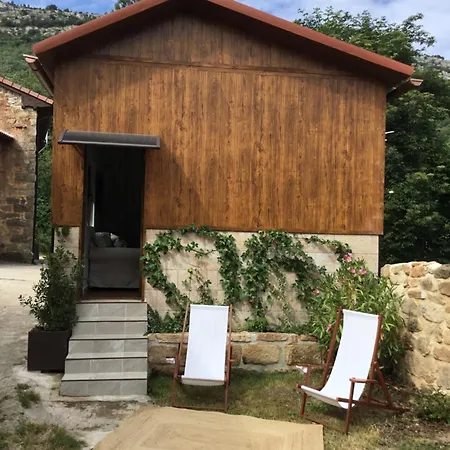 Acebos La Gallejones